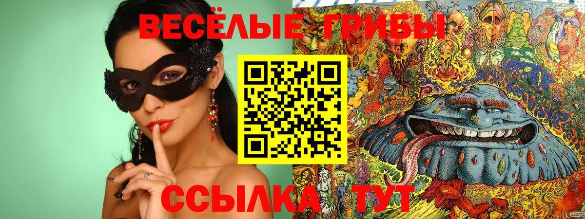 Нерюнгри  Псилоцибиновые грибы мухоморы  Вход с VPN 
